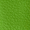 Apple Green - CF3319