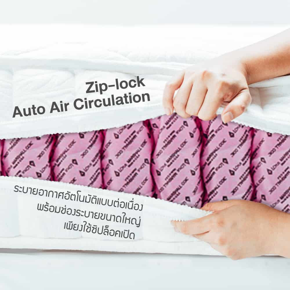 Lotus Marshall Deluxe II - Image 5