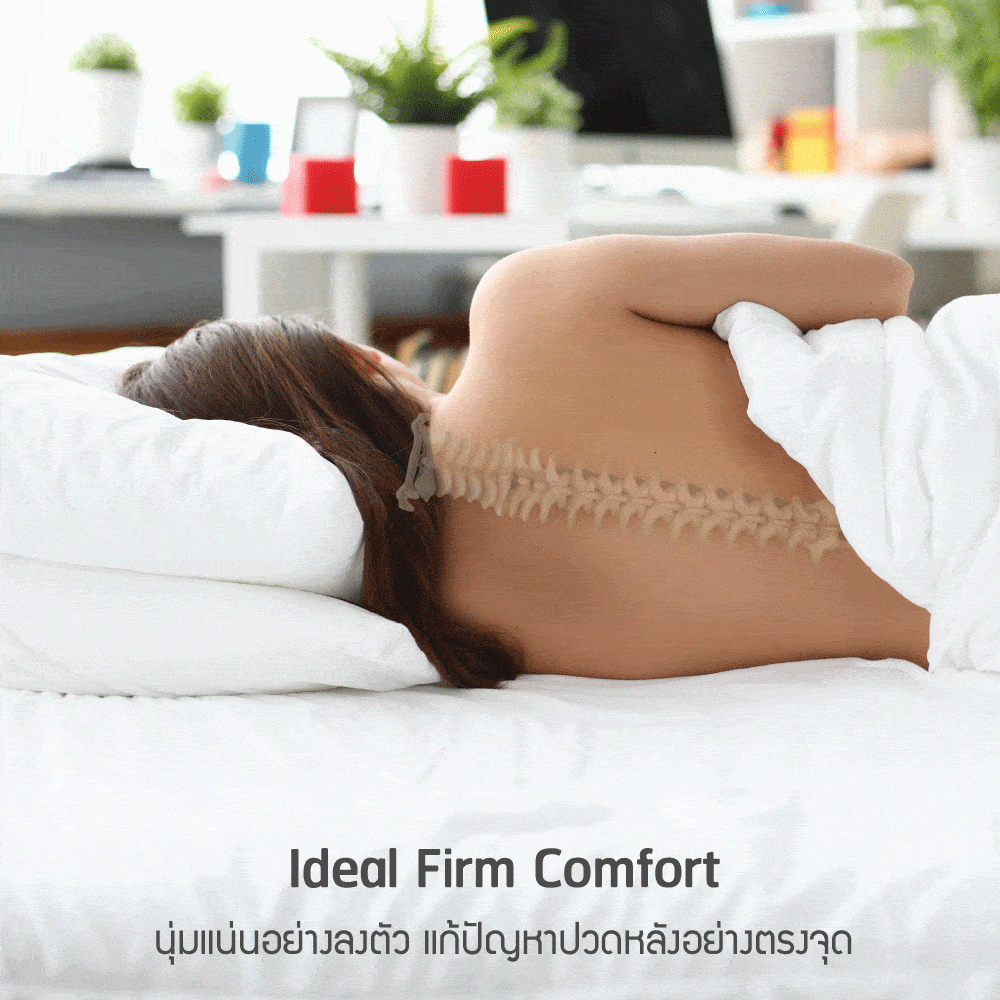 Lotus Marshall Deluxe II - Image 7