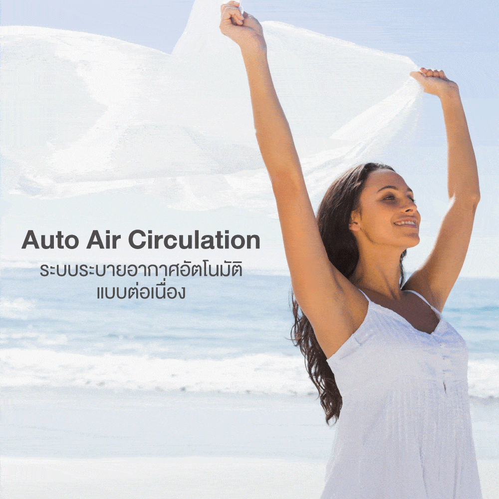 Lotus Marshall Deluxe II - Image 8