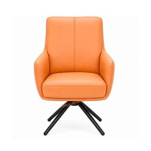 Kartell Dining Chair